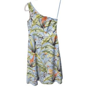 NEW Ann Taylor Cotton Poplin Oxford Chambray Animal Hawaiian Tropical Midi Dress